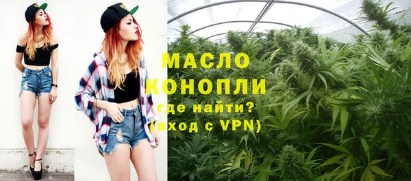 гидра Кинешма