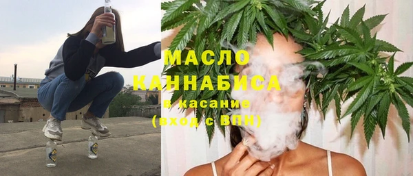 гидра Кинешма