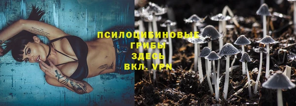 гидра Кинешма