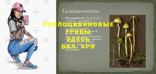 гидра Кинешма