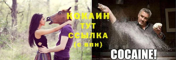 ALPHA PVP Киренск