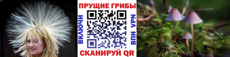 Галлюциногенные грибы Cubensis  Донецк 