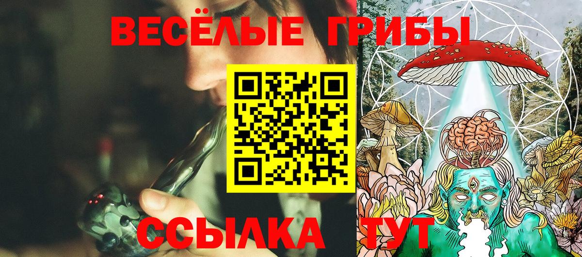 Донецк  Галлюциногенные грибы прущие грибы  Псилоцибиновые грибы мухоморы  Вход с VPN 
